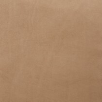 light brown swatch  