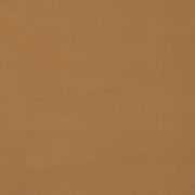 light-brown_swatch_2463647.jpg