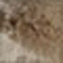 light brown swatch  