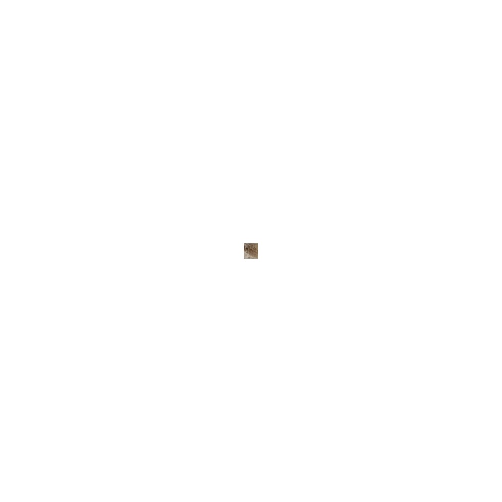light brown swatch  