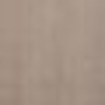 light brown swatch  