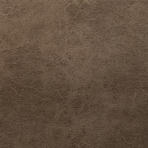 light brown swatch  