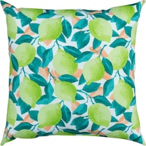 limes green outdoor pillow   