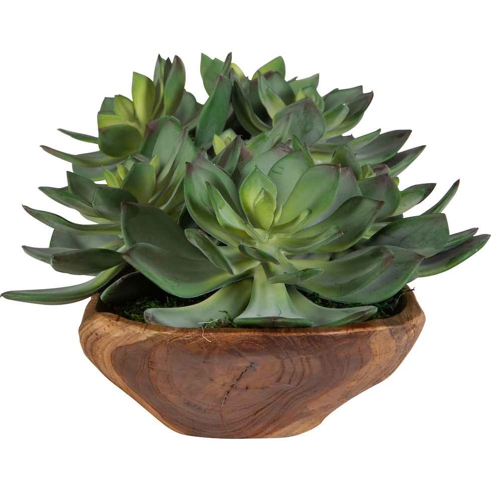 moab light brown faux plant   