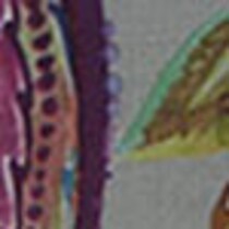 multicolor swatch  