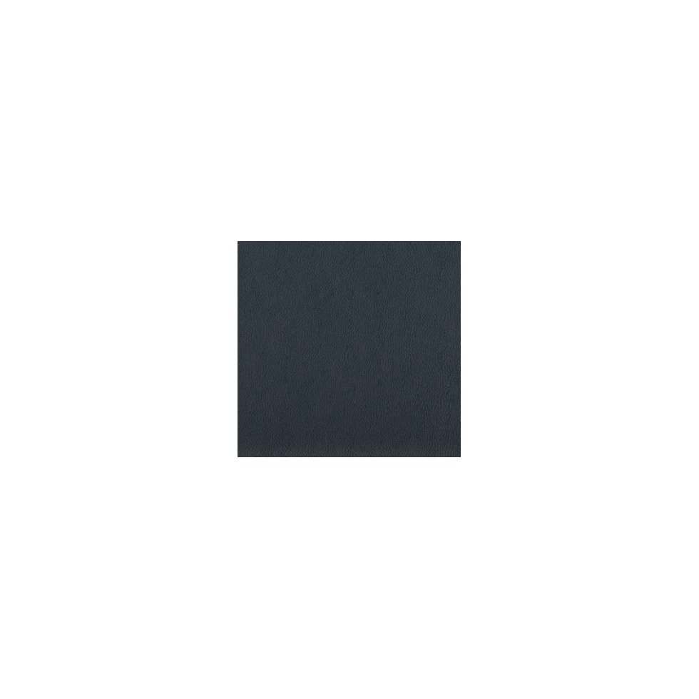 navy swatch  