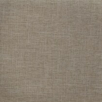 neutral swatch  