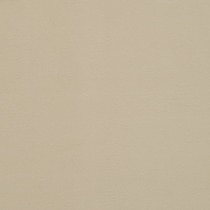 neutral swatch  