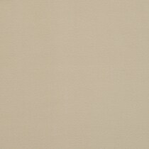 neutral swatch  