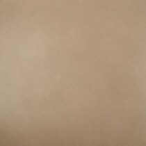 neutral swatch  