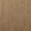 neutral swatch  