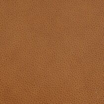 neutral swatch  