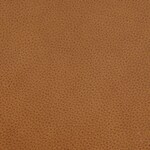 neutral swatch  