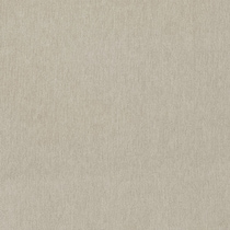 neutral swatch  