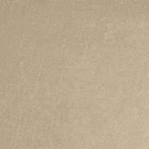 neutral swatch  