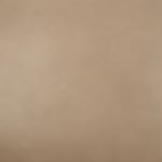 neutral swatch  