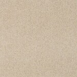 neutral swatch  