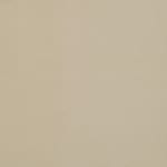 neutral swatch  