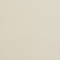 neutral swatch  