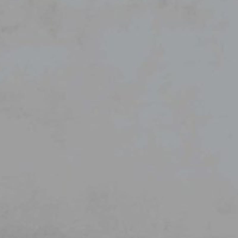 Omni Upholstered Queen Bed Sterling American Signature Furniture