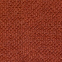 orange swatch  