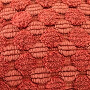 orange swatch  