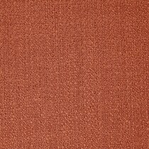 orange swatch  