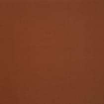 orange swatch  