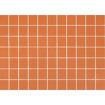 orange swatch  
