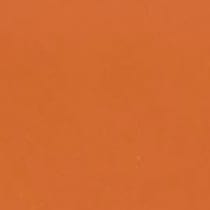 orange swatch  