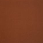 orange swatch  