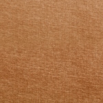 orange swatch  