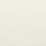 oslo snow swatch  