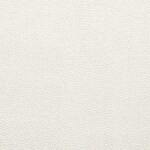oslo snow swatch  
