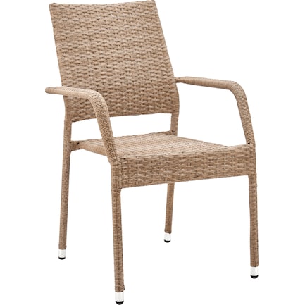Palm Island Outdoor Dining Chair - Tan