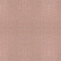 pink swatch  