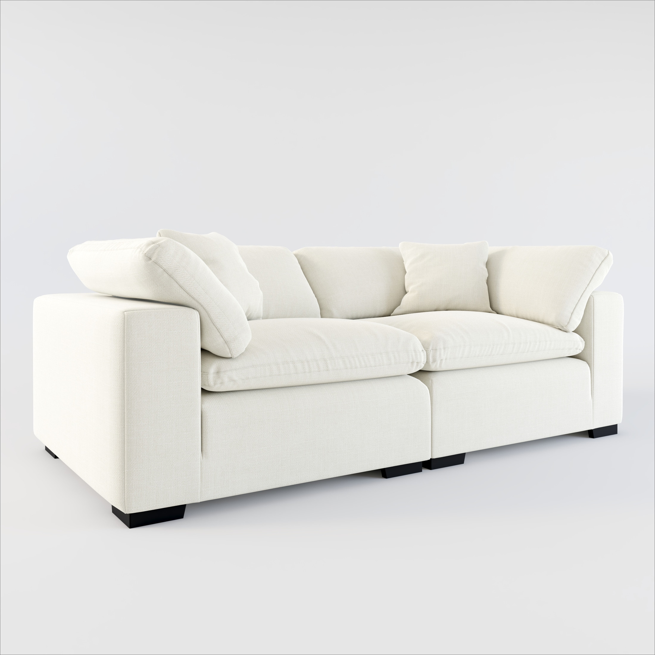 Plush 2 Piece Sofa