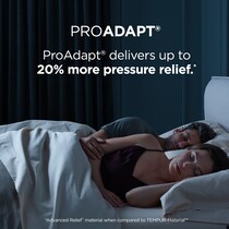 pro adapt  white king mattress   