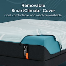 pro adapt  white queen mattress   