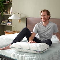 pro adapt  white queen mattress   