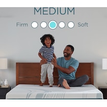 pro adapt  white twin mattress   