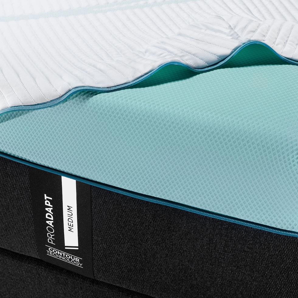 pro adapt white queen mattress   