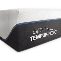 pro adapt white twin mattress   