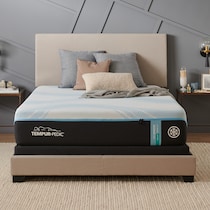pro breeze white queen mattress   