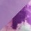 purple swatch  
