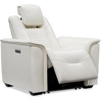 randy white power recliner   