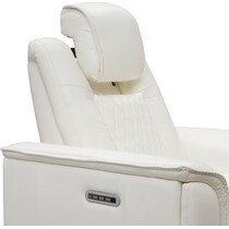 randy white power recliner   