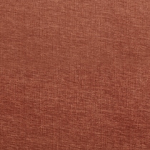 red swatch  