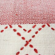red swatch  