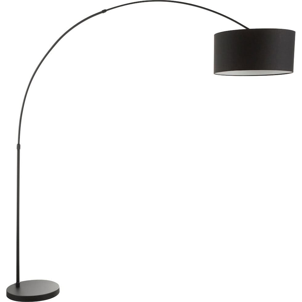 salon black floor lamp   